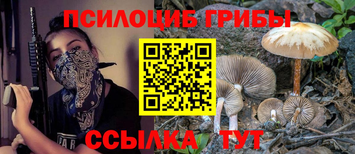 Тавда  Галлюциногенные грибы прущие грибы  Вход с VPN 